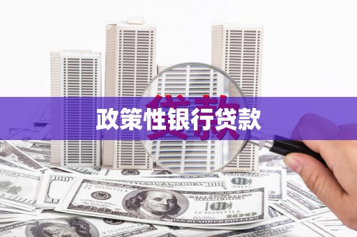 三水政策性银行贷款