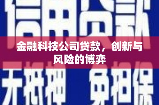 三水金融科技公司贷款，创新与风险的博弈
