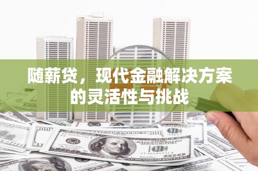 三水随薪贷，现代金融解决方案的灵活性与挑战