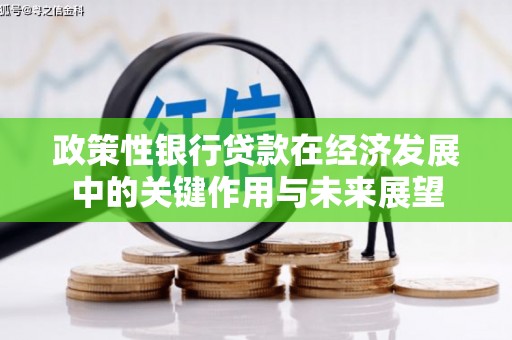 三水政策性银行贷款在经济发展中的关键作用与未来展望