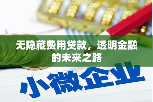 三水无隐藏费用贷款，透明金融的未来之路