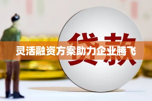 三水灵活融资方案助力企业腾飞