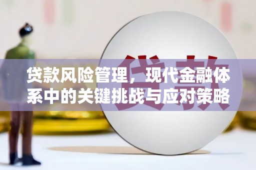 三水贷款风险管理，现代金融体系中的关键挑战与应对策略