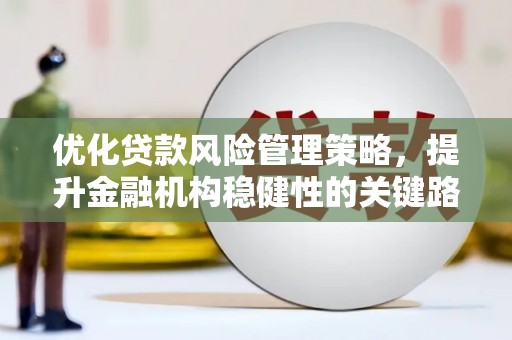三水优化贷款风险管理策略，提升金融机构稳健性的关键路径