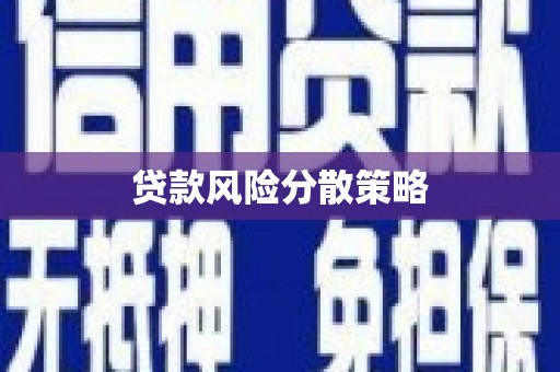 三水贷款风险分散策略