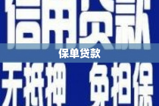 三水保单贷款