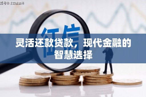 三水灵活还款贷款，现代金融的智慧选择