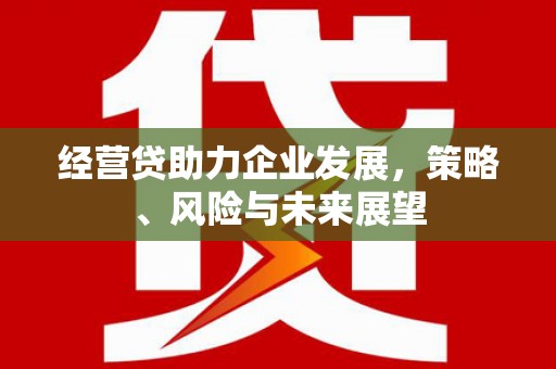 三水经营贷助力企业发展，策略、风险与未来展望