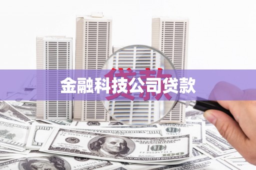 三水金融科技公司贷款