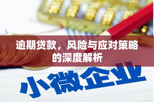 三水逾期贷款，风险与应对策略的深度解析