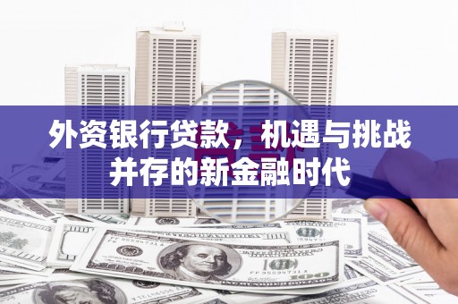 三水外资银行贷款，机遇与挑战并存的新金融时代