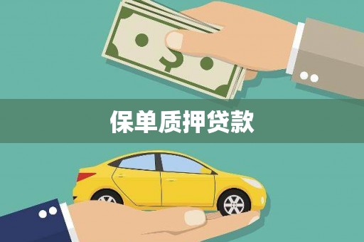 三水保单质押贷款