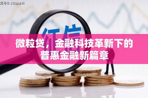 三水微粒贷，金融科技革新下的普惠金融新篇章