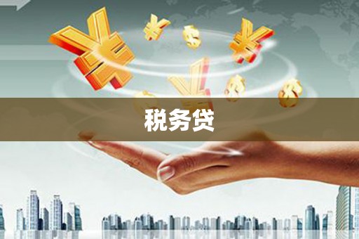 三水税务贷