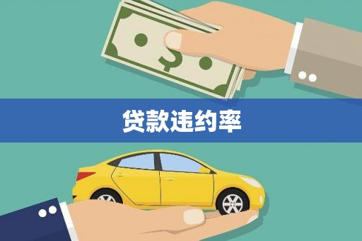 三水贷款违约率