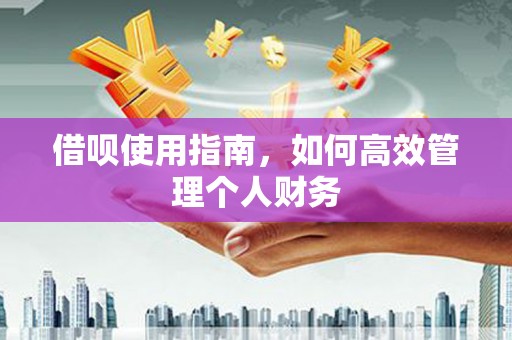 三水借呗使用指南，如何高效管理个人财务