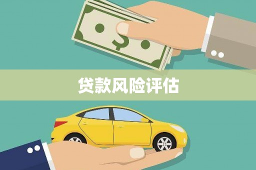 三水贷款风险评估