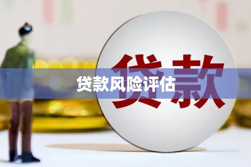三水贷款风险评估