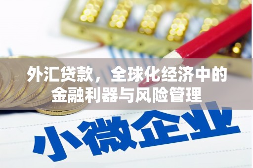 三水外汇贷款，全球化经济中的金融利器与风险管理