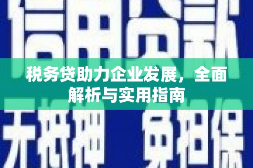 三水税务贷助力企业发展，全面解析与实用指南