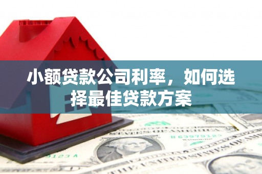 三水小额贷款公司利率，如何选择最佳贷款方案