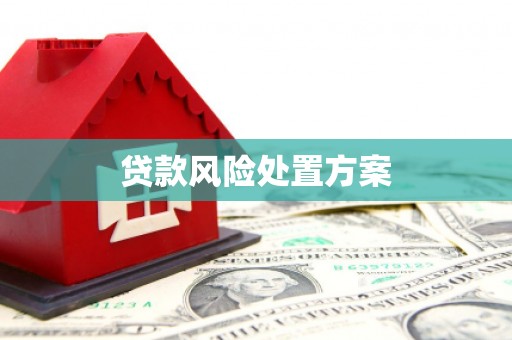 三水贷款风险处置方案