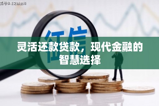 三水灵活还款贷款，现代金融的智慧选择