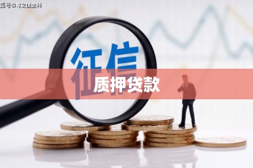 三水质押贷款