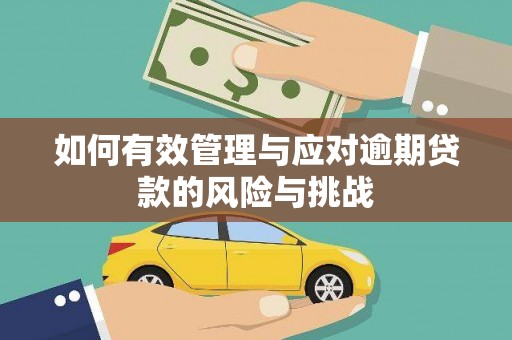 三水如何有效管理与应对逾期贷款的风险与挑战