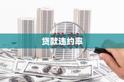 三水贷款违约率