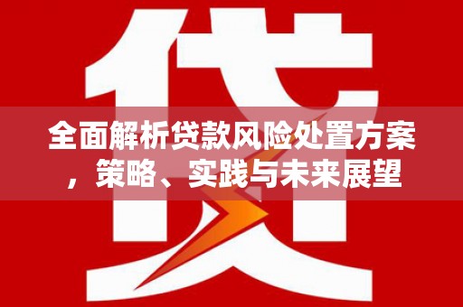 三水全面解析贷款风险处置方案，策略、实践与未来展望