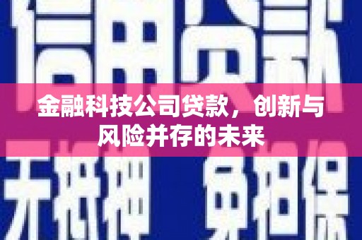 三水金融科技公司贷款，创新与风险并存的未来