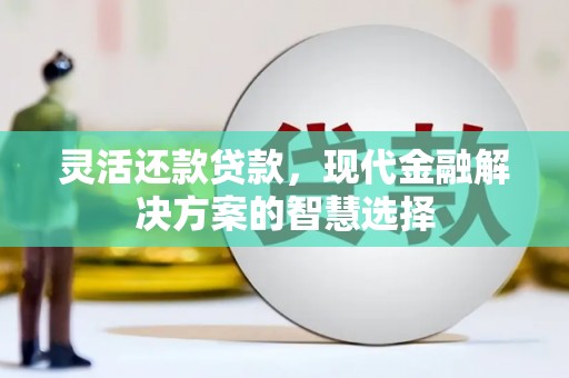 三水灵活还款贷款，现代金融解决方案的智慧选择