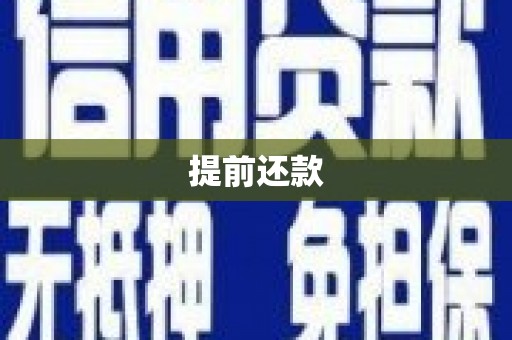 三水提前还款