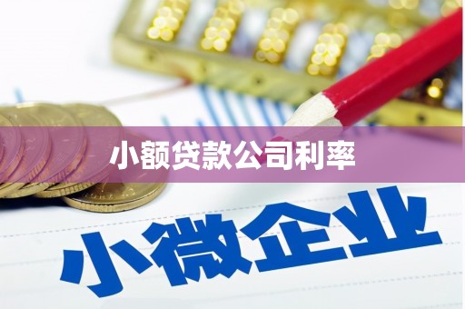 三水小额贷款公司利率