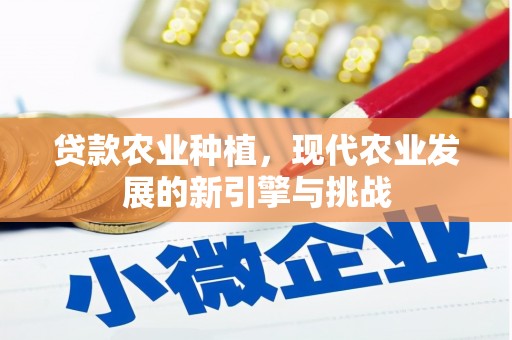 三水贷款农业种植，现代农业发展的新引擎与挑战