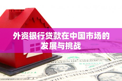 三水外资银行贷款在中国市场的发展与挑战