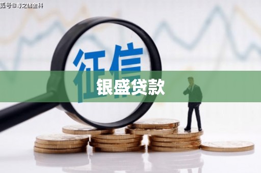 三水银盛贷款