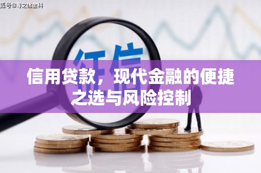 三水信用贷款，现代金融的便捷之选与风险控制