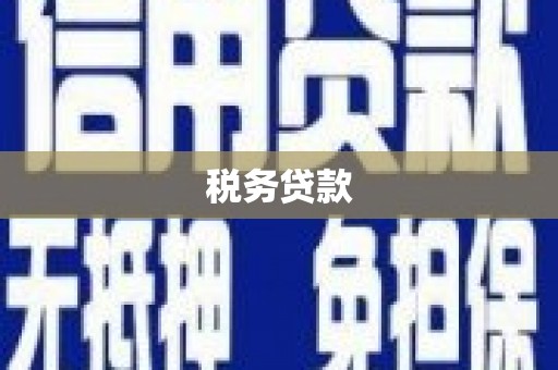 三水税务贷款