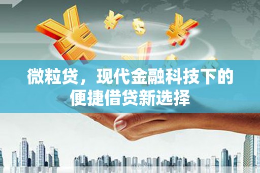 三水微粒贷，现代金融科技下的便捷借贷新选择