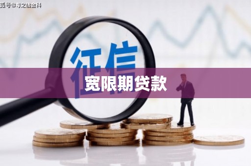 三水宽限期贷款