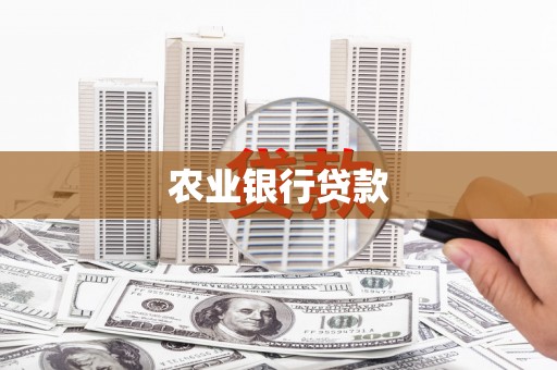 三水农业银行贷款