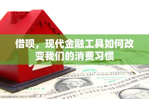 三水借呗，现代金融工具如何改变我们的消费习惯