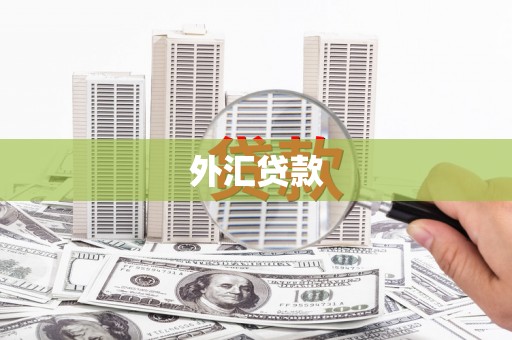 三水外汇贷款
