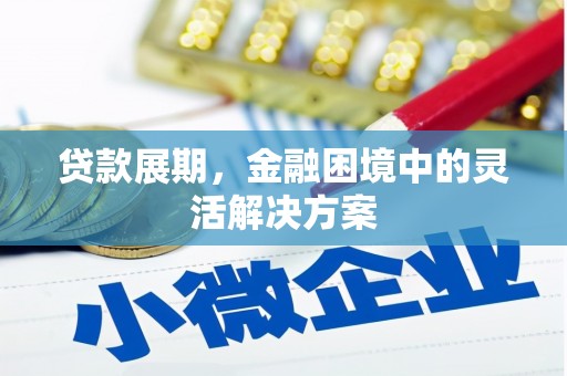 三水贷款展期，金融困境中的灵活解决方案