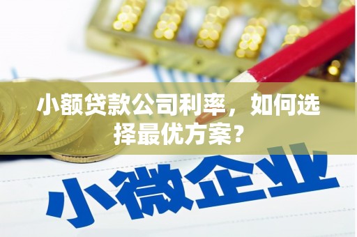 三水小额贷款公司利率，如何选择最优方案？