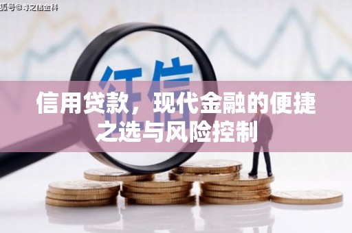 三水信用贷款，现代金融的便捷之选与风险控制