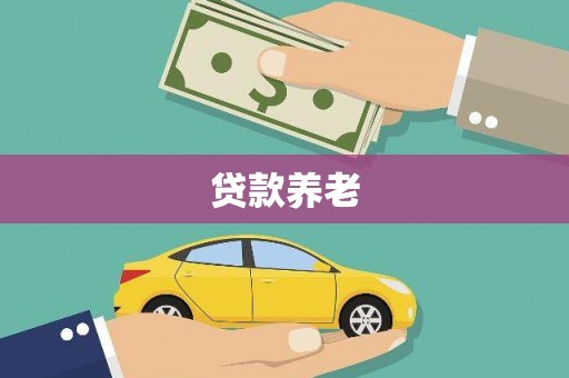 三水贷款养老