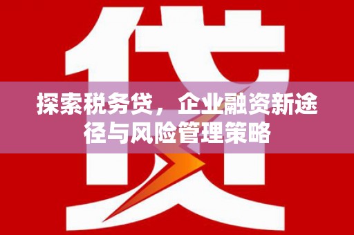 三水探索税务贷，企业融资新途径与风险管理策略